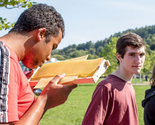 Auszubildender Samuel Azubi Samuel mit Bienenwabe