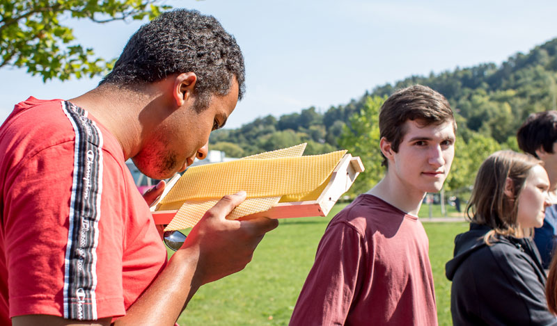 Auszubildender Samuel Azubi Samuel mit Bienenwabe