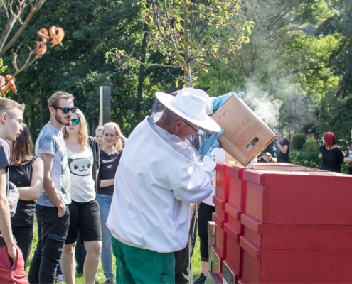 Anwendung-Smoker Anwendung-Smoker