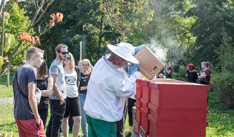 Anwendung-Smoker Anwendung-Smoker