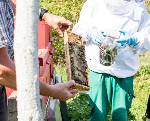 Imker am Bienenstock Imker mit Bienenwabe
