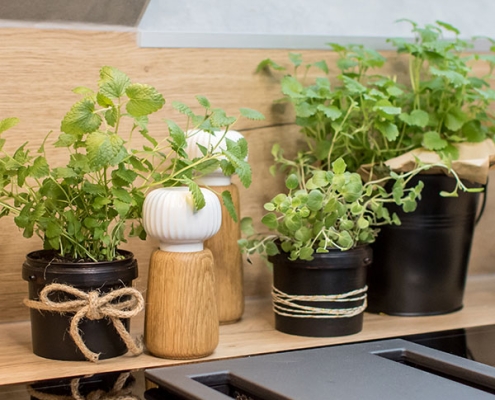 DIY Blumentopf mit Kraeutern