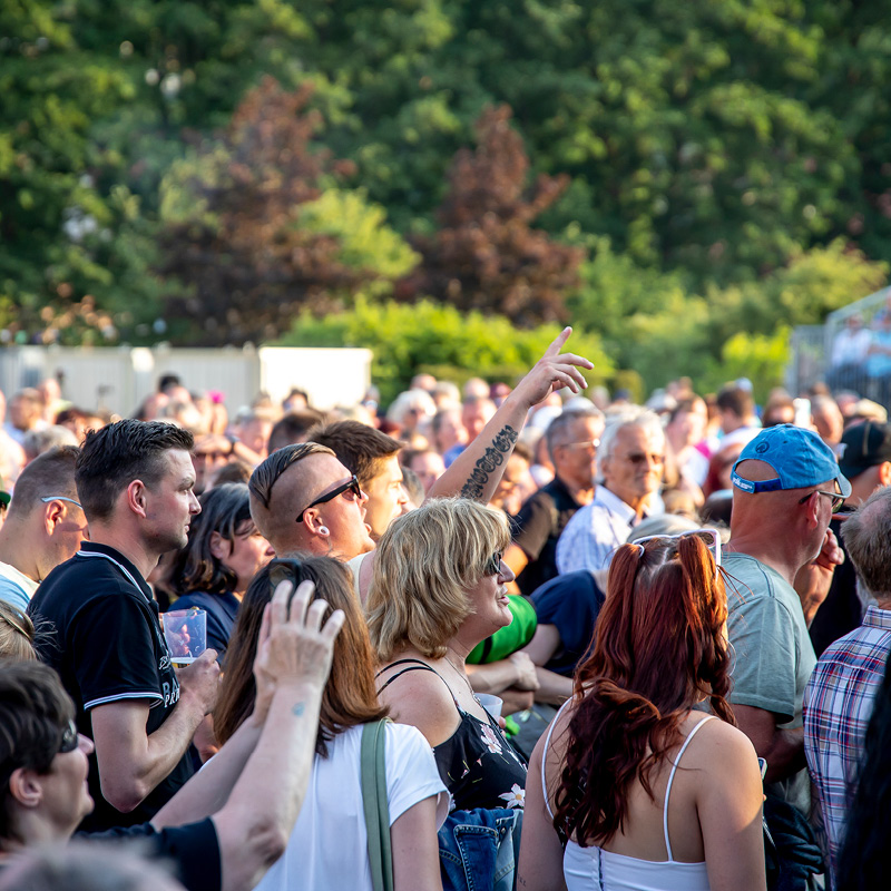 Fans singen mit Fans singen lauthals mit