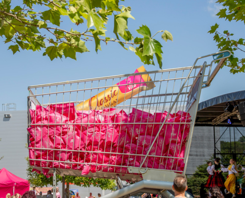 XXL-Einkaufswagen XXL Einkaufswagen im Viba Park