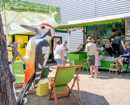 Energiegarten Stand des Nationalpark Hainich beim Energiegarten