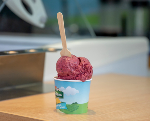 Eiskugel im Becher Eiskugel der Rhöner Eismanufaktur
