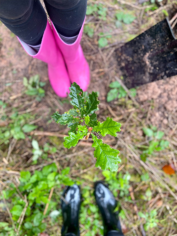 Pinke-Gummistiefel