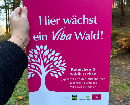 Hier wächst ein Viba Wald Rubinrotes Schild "Hier wächst ein Viba Wald"
