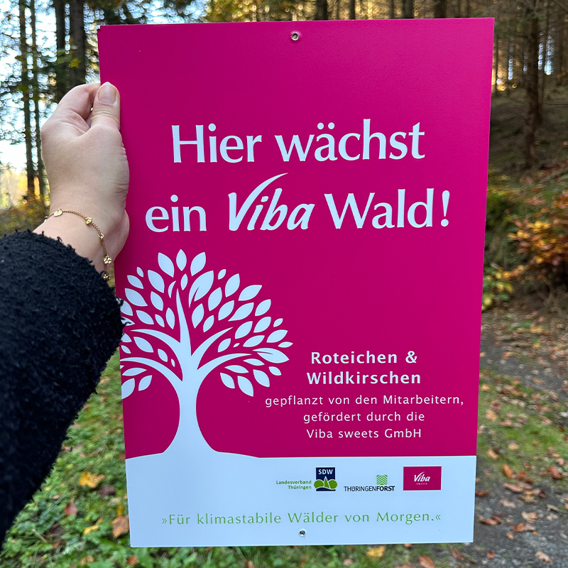 Hier wächst ein Viba Wald Rubinrotes Schild "Hier wächst ein Viba Wald"