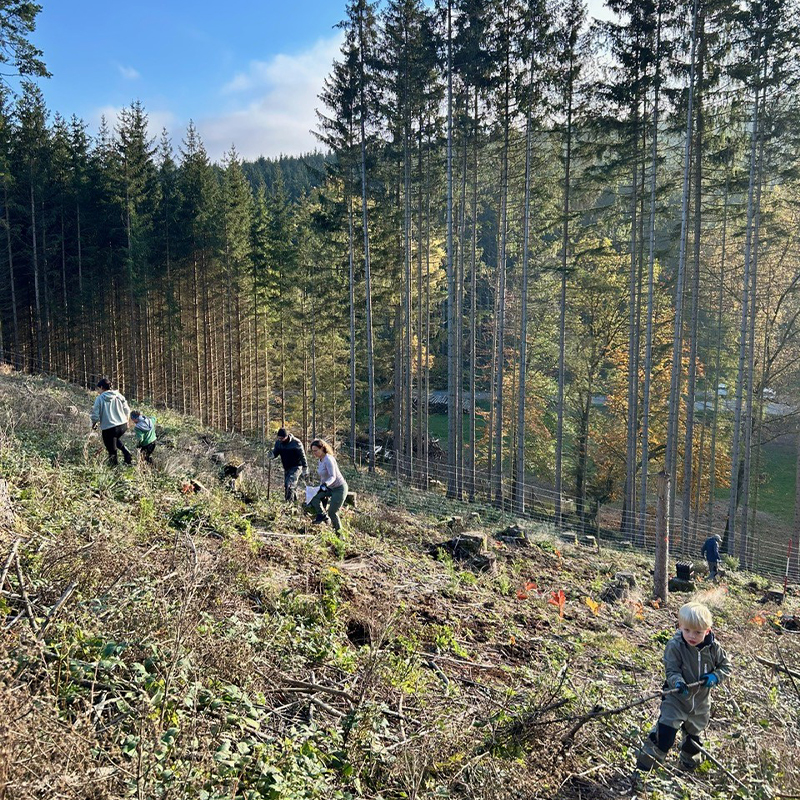 Baumpflanzaktion bei Sonnenschein Baumpflanzaktion